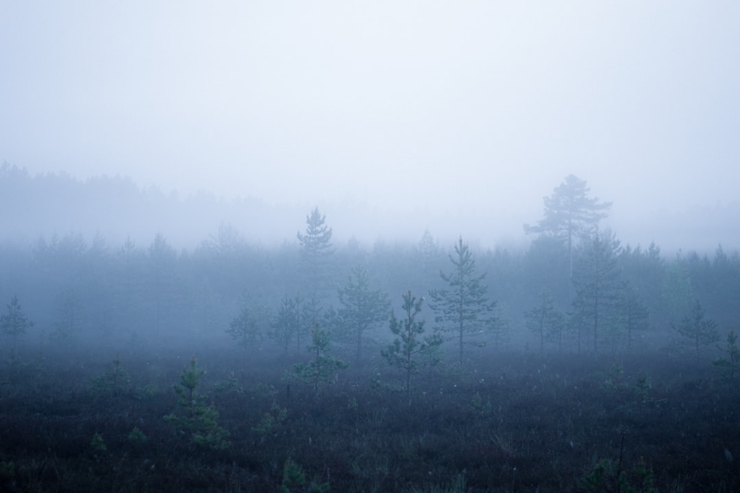 Gauja National Park Tour